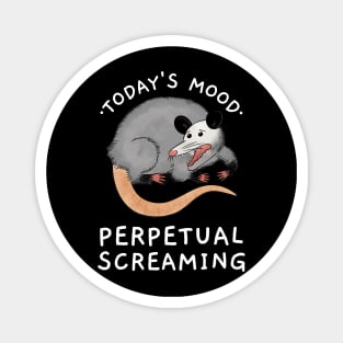 funny opossum Magnet